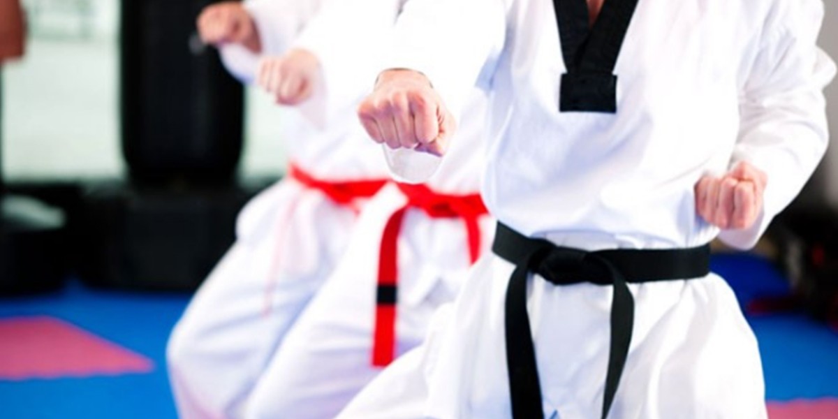 Detuvieron a un profesor de artes marciales por presunto abuso de menores | Actualidad