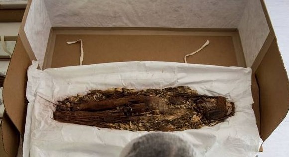 Buscan develar los secretos de las momias más antiguas del mundo | Internacionales