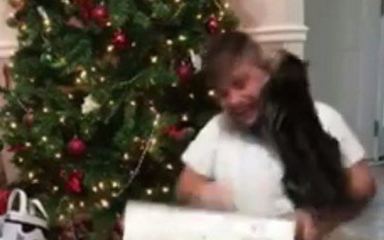 Video viral: la furia del gato por el regalo de Navidad de su dueño | Curiosidades