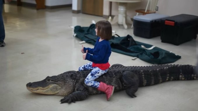 La nena que pasea montada en el lomo de un lagarto | Curiosidades