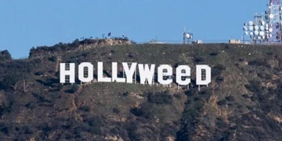 Se entregó a la policía el autor del cartel "Hollyweed” | Curiosidades
