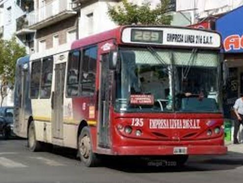 Paro de choferes de la línea 269 por agresión a un colectivero | Actualidad