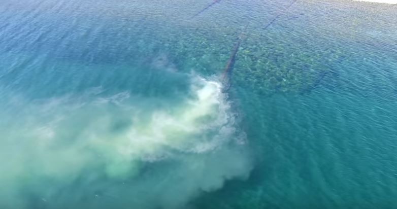 Impiden bañarse en una zona del lago Nahuel Huapi: ¿falta de guardavidas o contaminación cloacal? | Actualidad