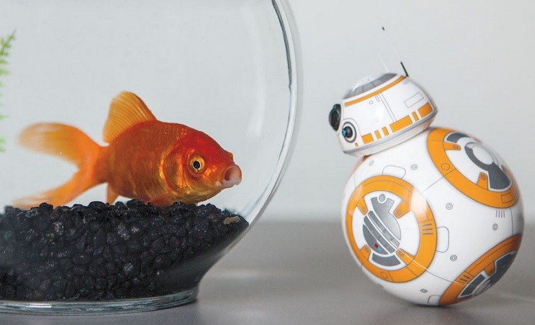 Con un robot inspirado en Star Wars, alumnos aprenderán robótica y programación | Tecno