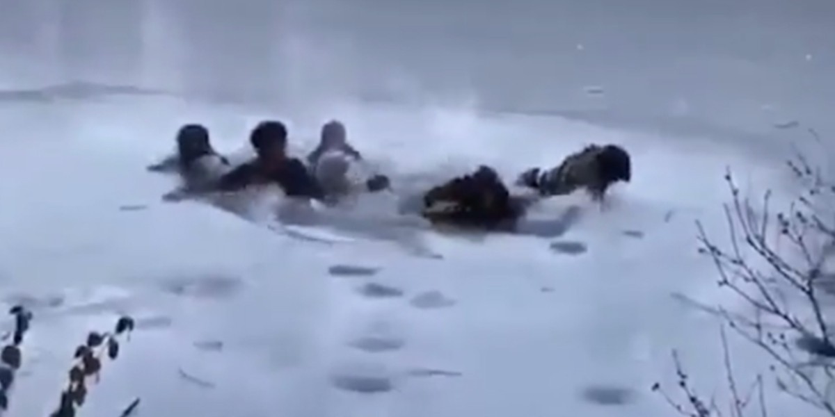 Se quisieron sacar una selfie y casi mueren congelados en el lago del Central Park | Redes