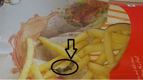 Hamburguesería le sirvió lagarto a una clienta india | Curiosidades