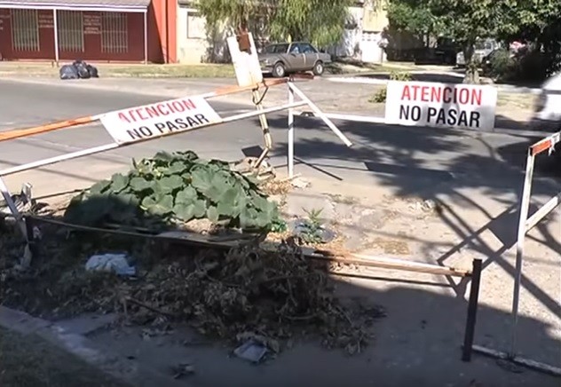Vecinos reclaman hace un año que arreglen un bache al que le creció una planta de zapallo | Actualidad
