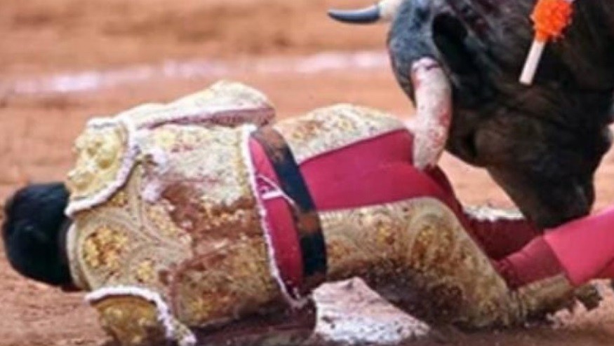 Video de alto impacto: un torero recibió una fuerte cornada en una corrida en México | Internacionales