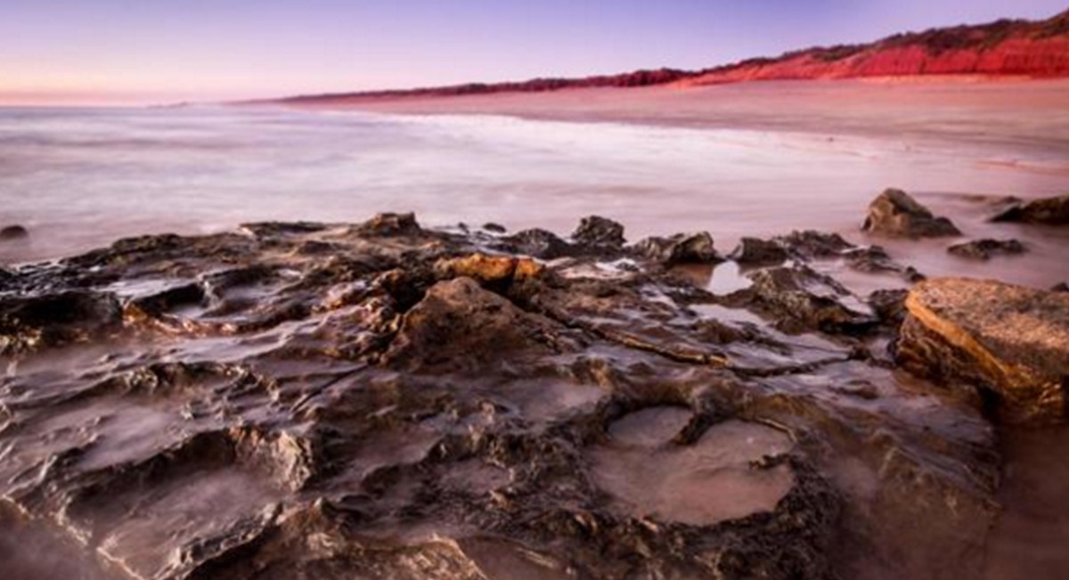 Australia: descubren un increíble yacimiento con 150 huellas de dinosaurios | Internacionales