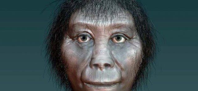 Descubrieron el origen del "hobbit" | Internacionales