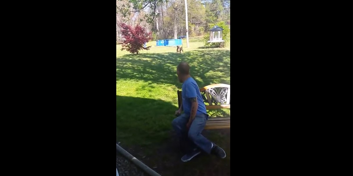 La emocionante reacción de un perro al volver a ver a su dueño | Redes