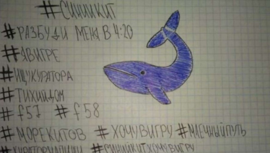 Alarma por el primer caso de la “ballena azul” en Argentina | Actualidad