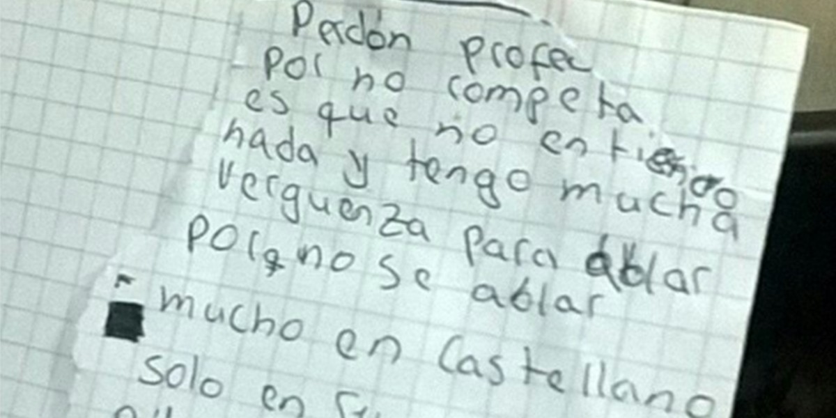 "No sé hablar castellano, sólo guaraní": la carta del chico que pidió perdón por no poder completar la tarea | Actualidad