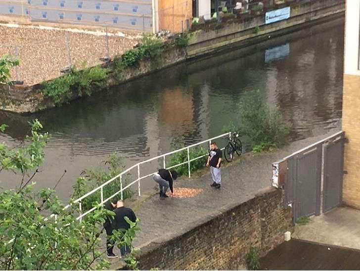 Experimento viral: ¿qué pasa si dejás 15 mil monedas tiradas en la calle? | Redes