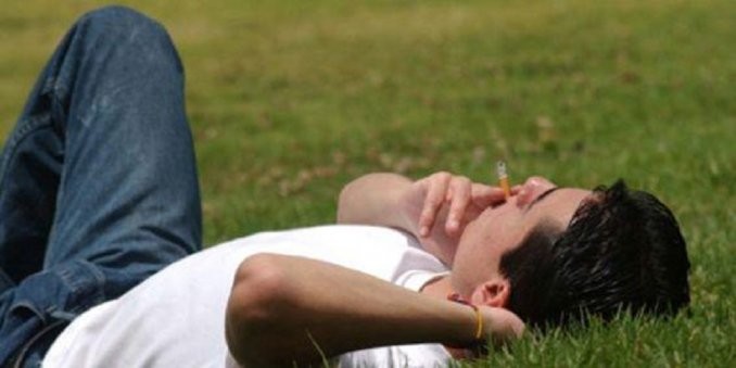 Uno de cada dos porteños apoya la prohibición de fumar en plazas y parques | Actualidad