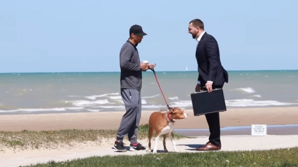 Video experimental: ¿venderías tu perro por 100.000 dólares? | Curiosidades