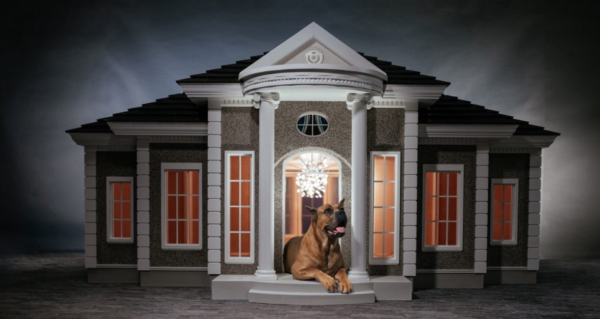 La nueva moda entre los millonarios es comprarle estas mansiones de lujo a sus perros | Curiosidades