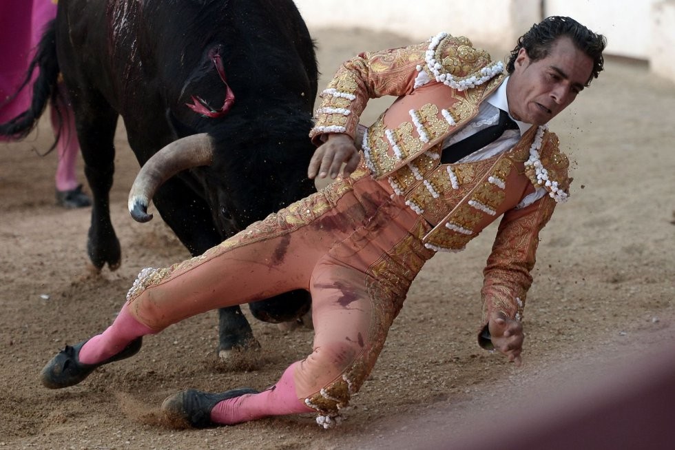 Murió un torero español al recibir una cornada en un pulmón | Internacionales
