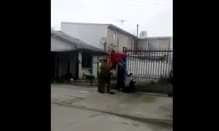 De no creer: un ladrón intentó robar en una casa y quedó atrapado en la reja | Internacionales