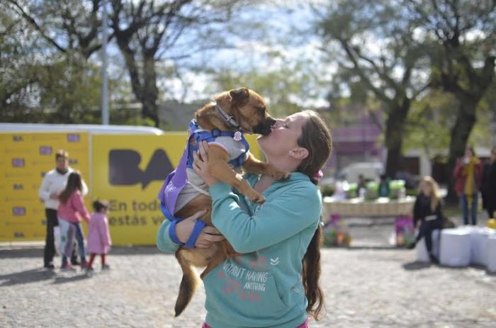 La adopción de perros y gatos creció un 133% en Buenos Aires | Actualidad
