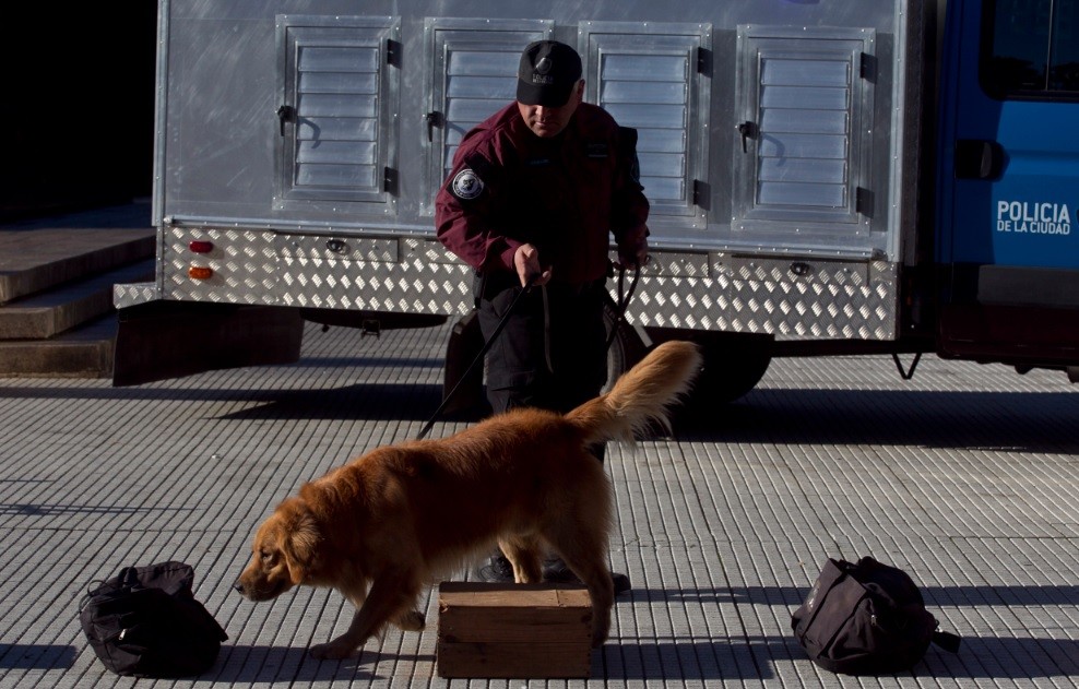 Presentan una patrulla de perros para la prevención y combate del delito en la Ciudad | Actualidad