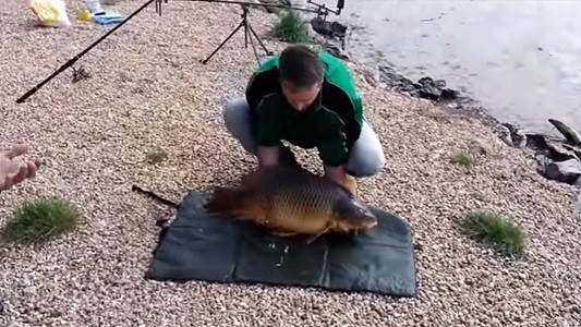#EsViral El pescador que se quedó sin pescado | Redes