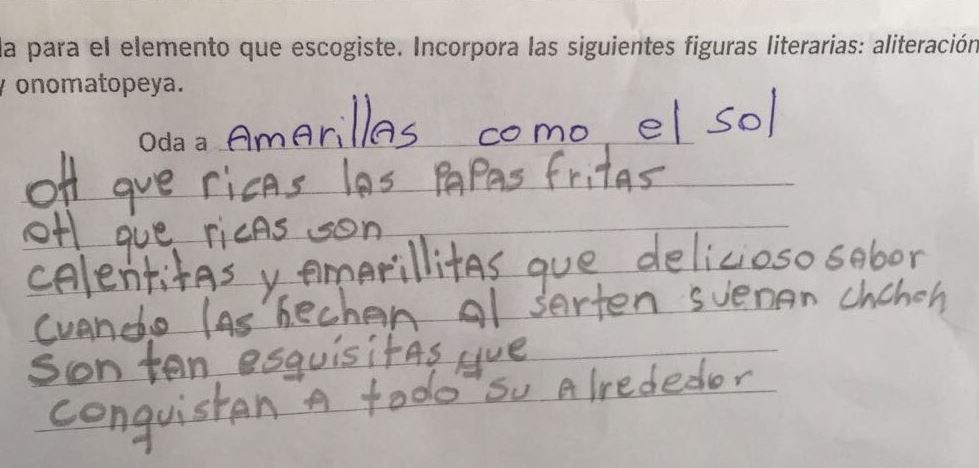 "Oh, qué ricas las papas fritas", el poema que escribió un nene para la escuela y explotó en las redes sociales | Redes