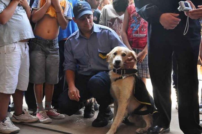 Vuelve a la comisaría el perro que causó el desplazamiento de un jefe policial | Actualidad