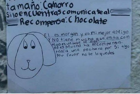 La nena que había perdido su perro y dibujó los carteles a mano para buscarlo | Redes