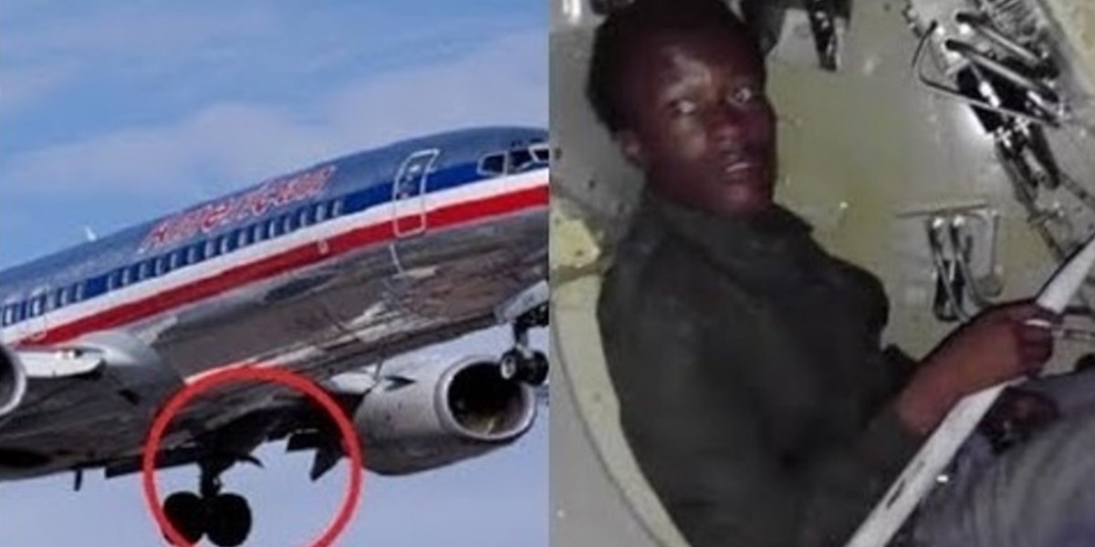 Video: un hombre viajó a Estados Unidos en el tren de aterrizaje de un avión | Internacionales