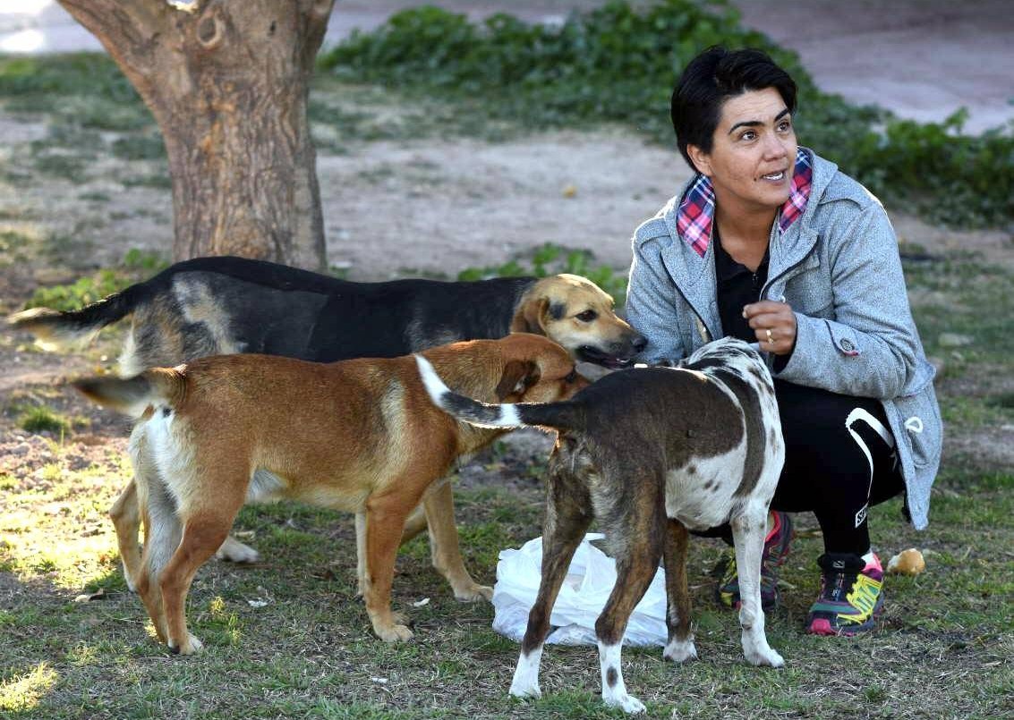 Mendoza: Denuncian tortura y matanza de perros que viven en el Parque Metropolitano | Actualidad