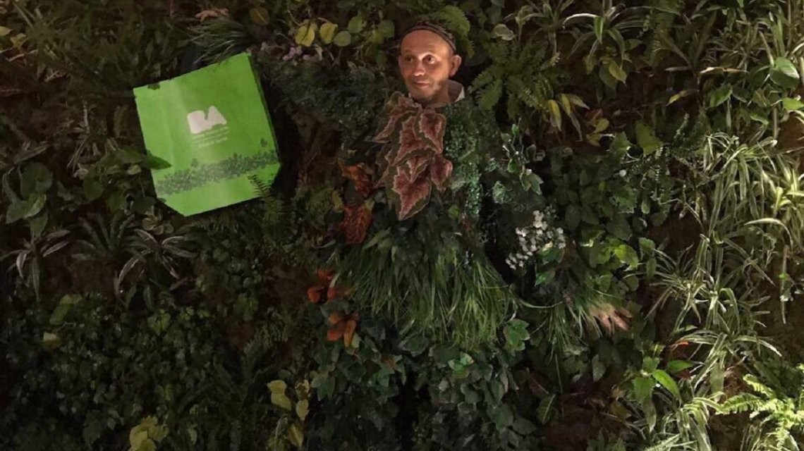 Bergman justificó el disfraz de planta: "Es un tema gracioso para hablar de algo serio, que es el cambio climático" | Política