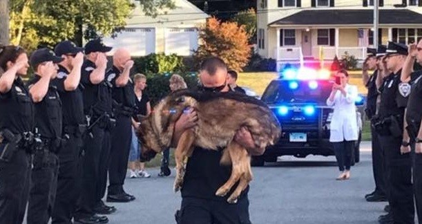 Conmovedor último adiós a un perro policía enfermo terminal | Redes