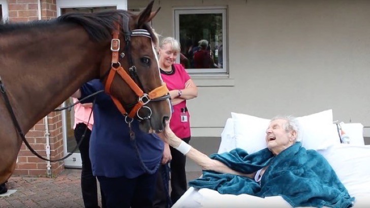 Video conmovedor: el último deseo de Patrick antes de morir | Curiosidades