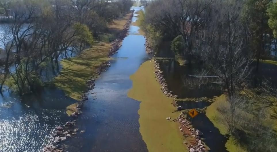 La Pampa: Por inundaciones los productores se enfrentan a mortandad de terneros y vacas | Actualidad
