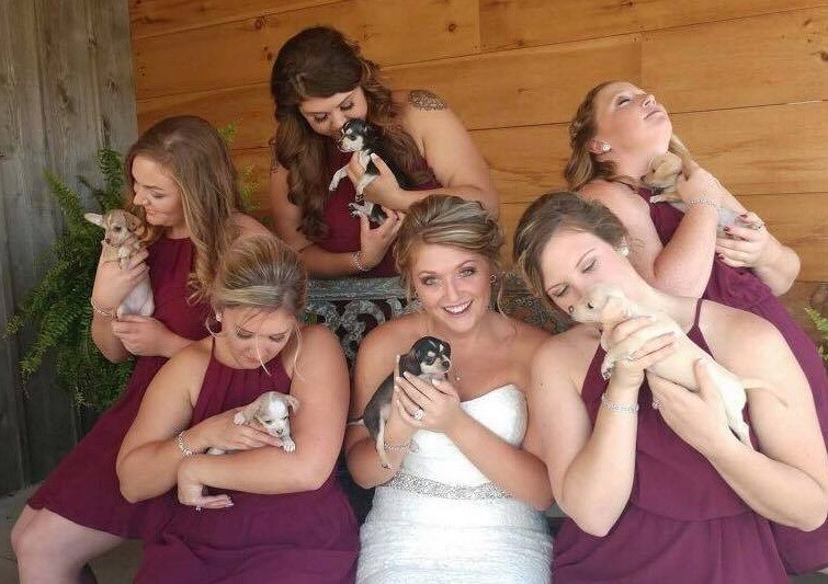 #EsViral: La novia que cambió su ramo de flores por uno de ... ¡perritos! | Curiosidades