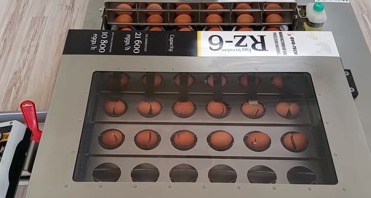 La máquina que puede romper 19.200 huevos por hora | Curiosidades