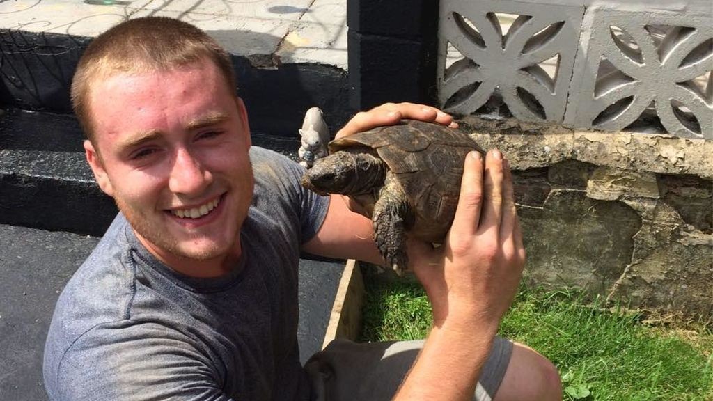 Un joven estranguló y prendió fuego a los hamsters de su novia | Internacionales