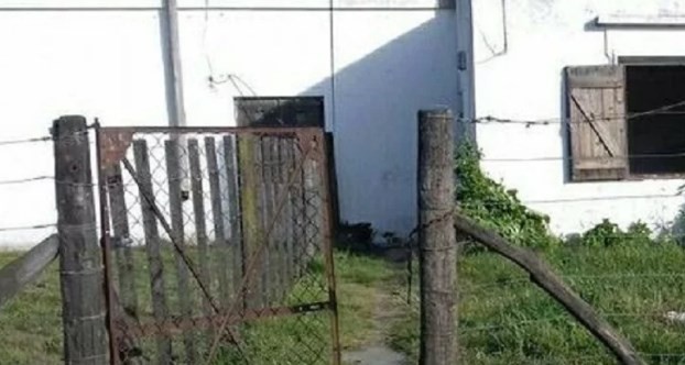 Encontraron muerto a un bebé recién nacido en el patio de una casa abandonada en Balcarce | Actualidad