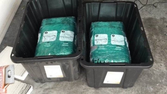 Una pareja hizo una compra por Amazon y recibió por error 29 kilos de marihuana | Curiosidades