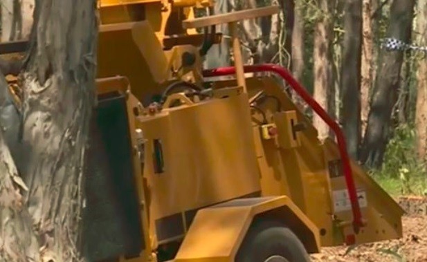 Ayudaba a su vecina a sacar un árbol con una trituradora y tuvo el peor final | Curiosidades