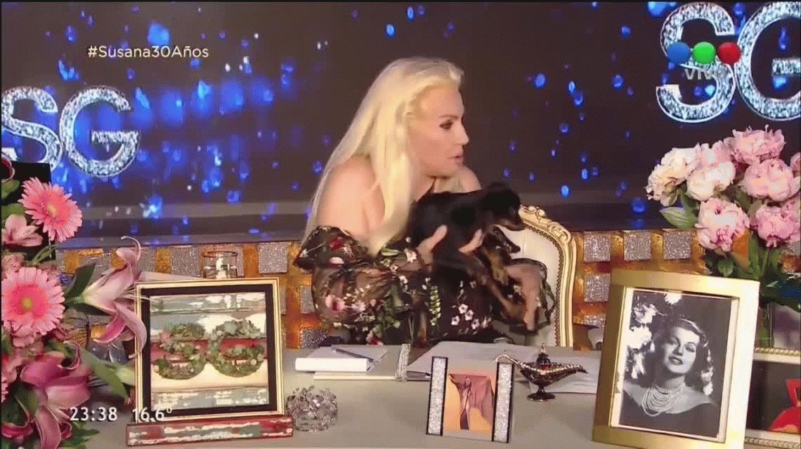 Puede pasar: mirá el blooper de Susana con un perrito durante su programa | Espectáculos