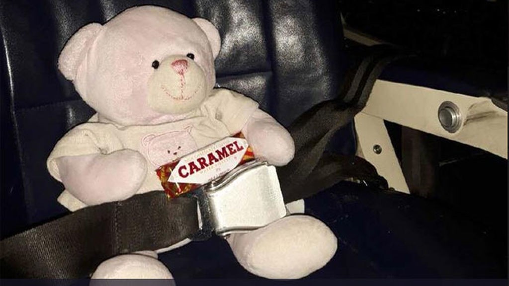 El osito de peluche que recorrió más de 300 kilómetros para reencontrarse con su dueña de 4 años | Curiosidades