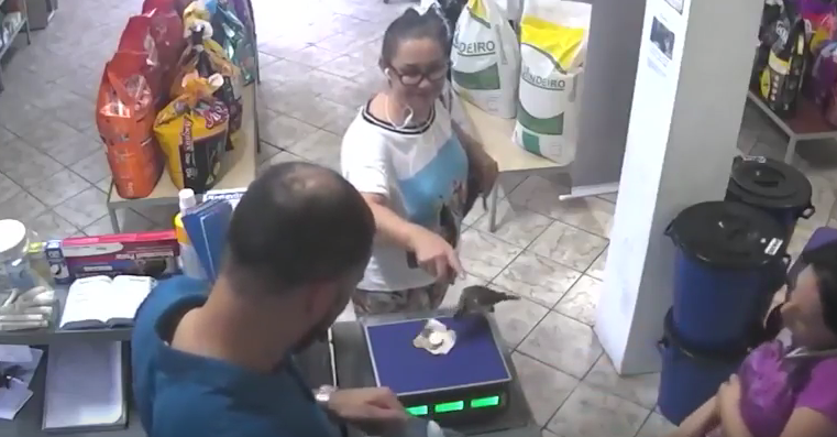 Viral: fue a pagar y un pájaro le robó la plata | Curiosidades