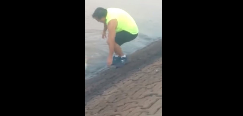 Video viral: A este pescador se le escapó el dorado | Redes