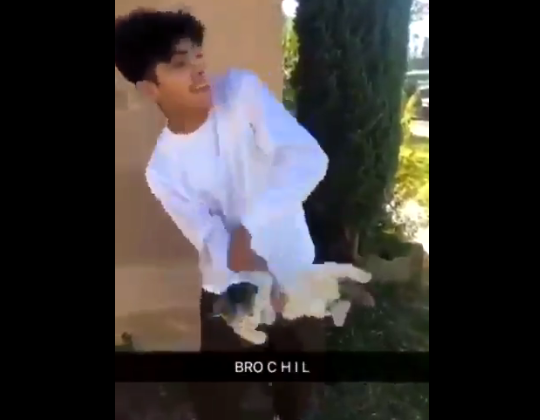 Polémica en las redes por el video de un adolescente que tira a un gato por los aires | Redes