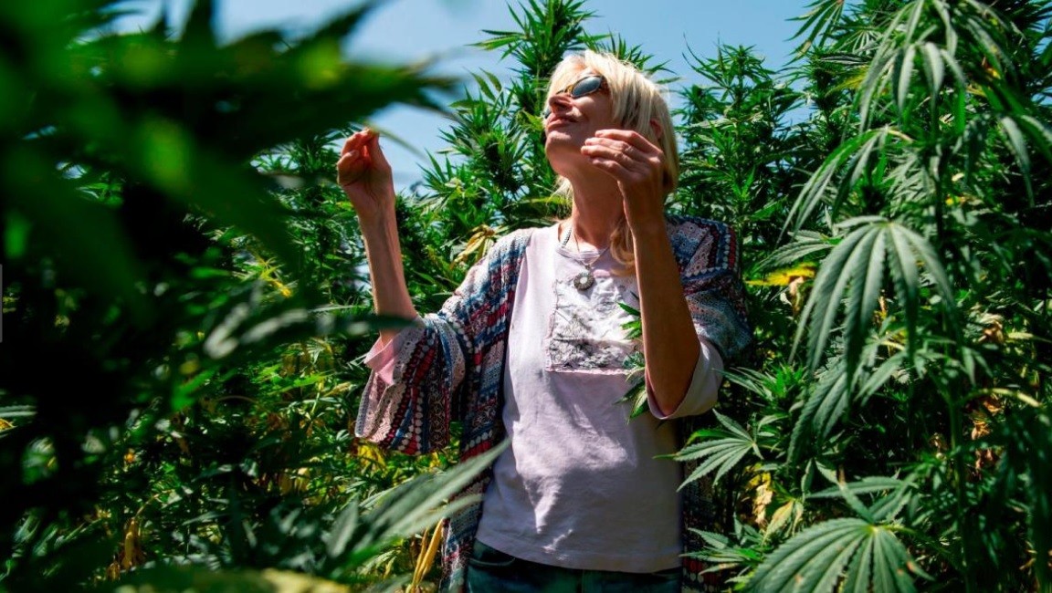 Punta del Este: Turistas preguntan primero la clave de Wi-Fi y luego dónde comprar marihuana | Curiosidades