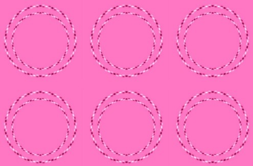 La sorprendente ilusión óptica de los círculos que causa furor en las redes | Redes