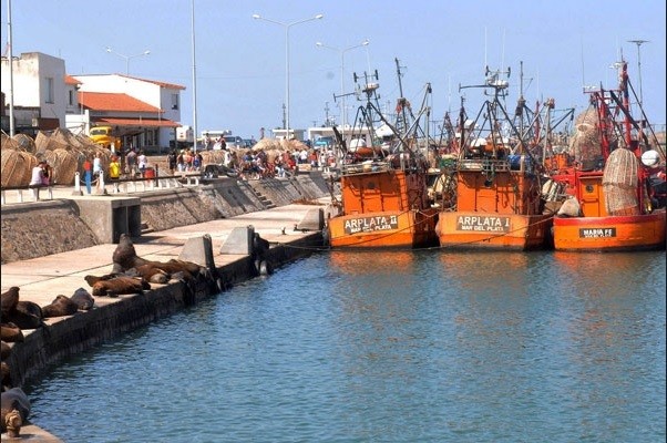 Hallaron el cadáver del cocinero de un barco flotando en el puerto de Mar del Plata | Actualidad
