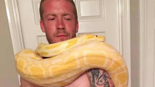 Tenía como mascotas 10 serpientes y 12 tarántulas: lo mató una pitón que consideraba "su bebé" | Curiosidades